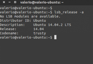 versione ubuntu per skype
